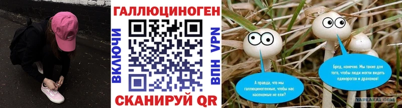 цена   Ладушкин  Псилоцибиновые грибы GOLDEN TEACHER 